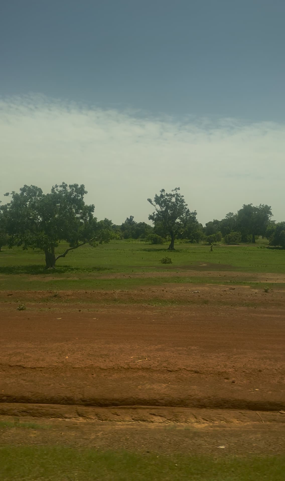 Open landscape with trees and red earth in Burkina Faso